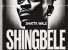 Shingbele by Shatta Wale